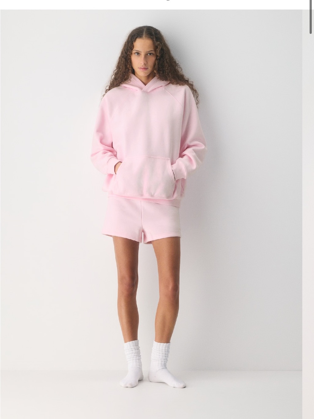 Aritzia Sweat fleece hoodie